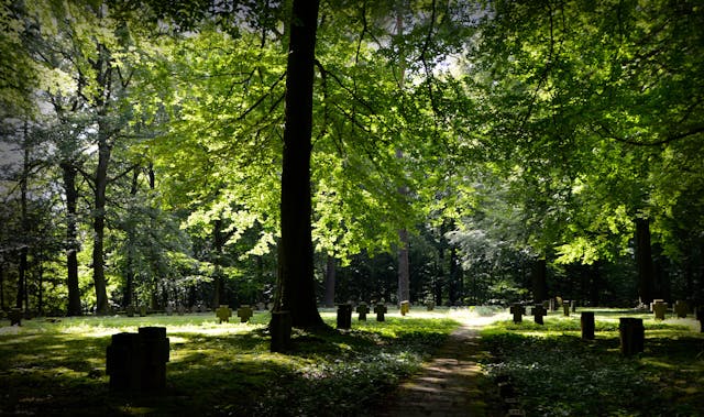 Friedhof